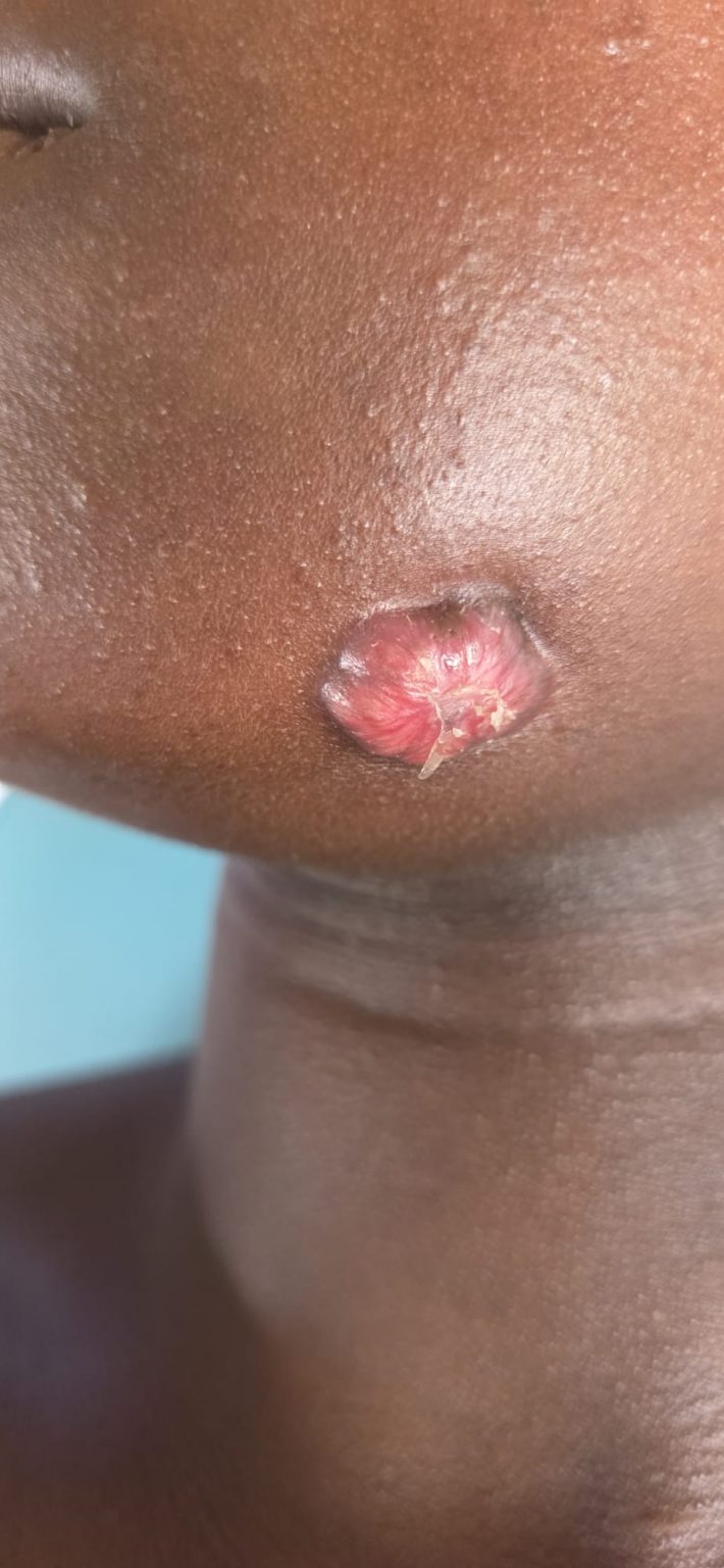 WhatsApp Image 2026-03-23 at 23.44.50